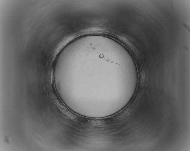 X0000100871413200807111306