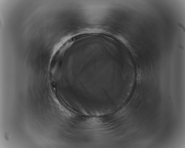 X0000100871414200807111306