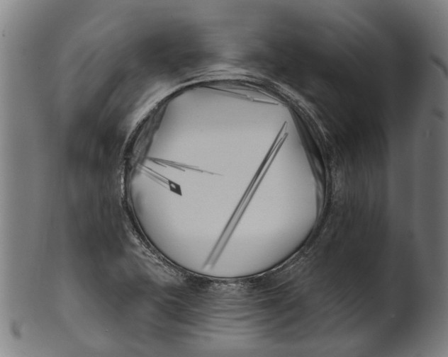 X0000100871415200807111306