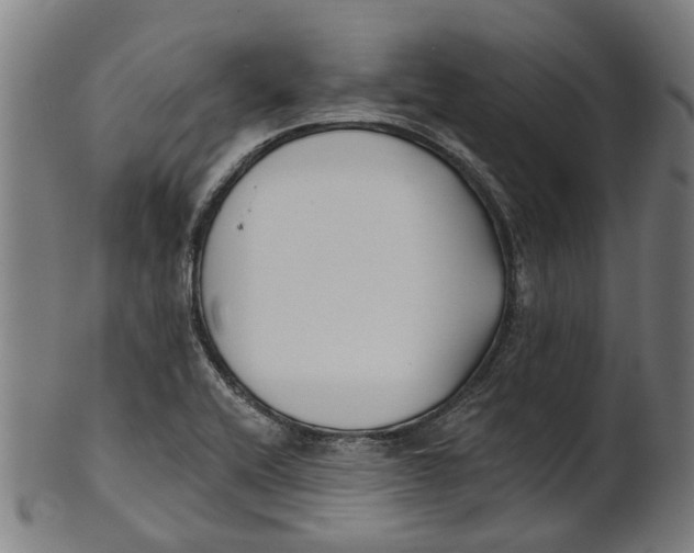 X0000100871416200807111306