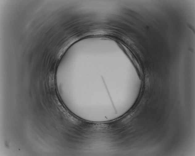 X0000100871417200807111306