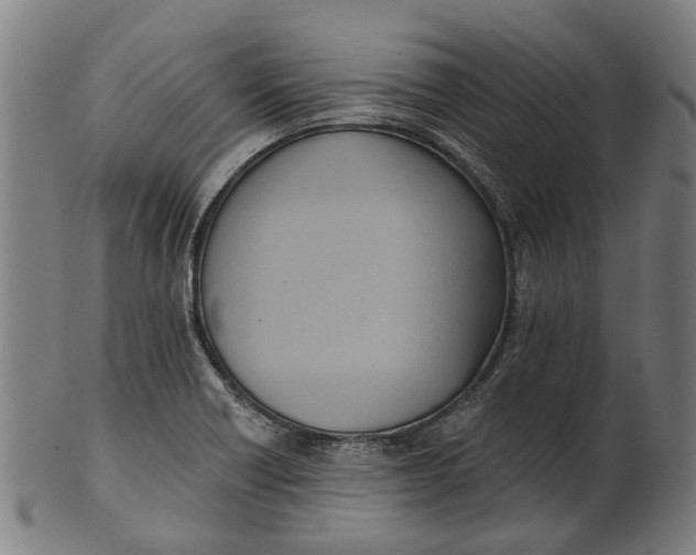 X0000100871418200807111306