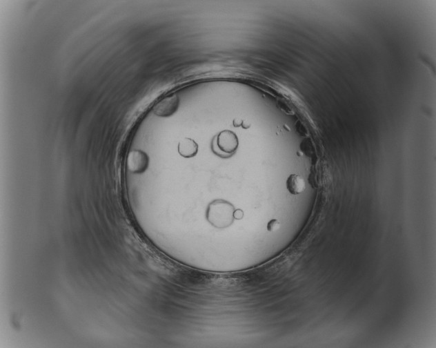 X0000100871419200807111306