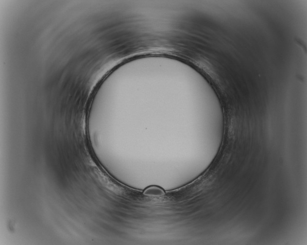 X0000100871420200807111306