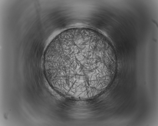 X0000100871421200807111306