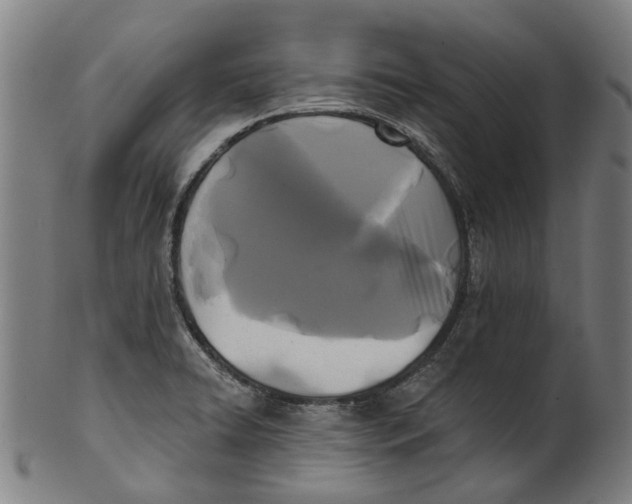 X0000100871422200807111306