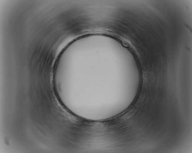 X0000100871424200807111306