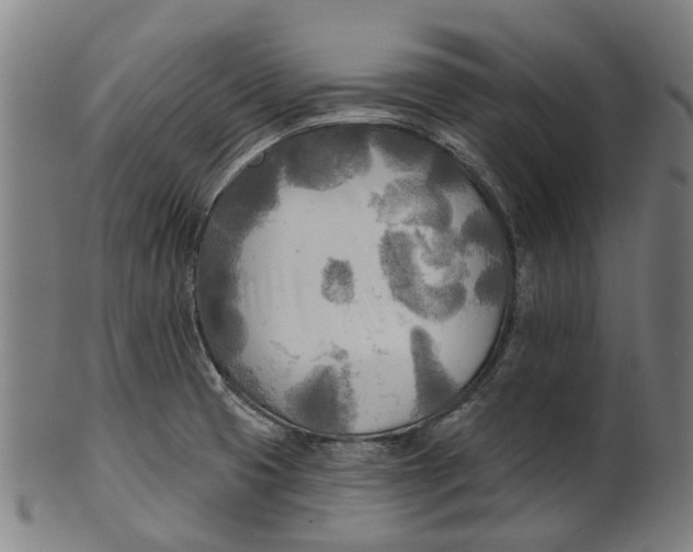 X0000100871425200807111306