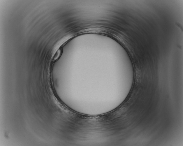 X0000100871426200807111306