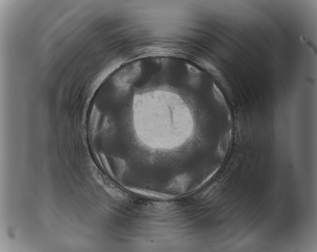 X0000100871427200807111306