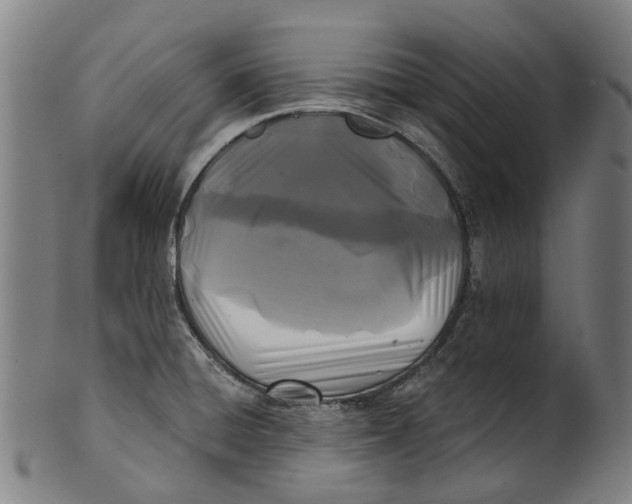 X0000100871428200807111306