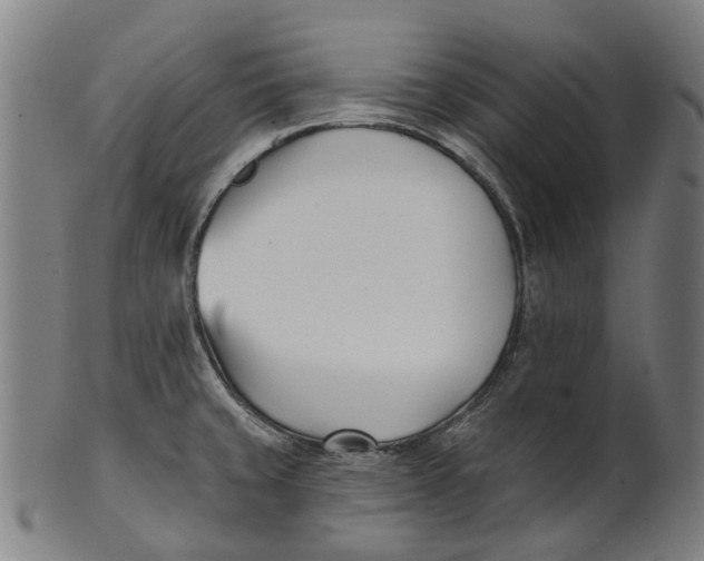 X0000100871429200807111307