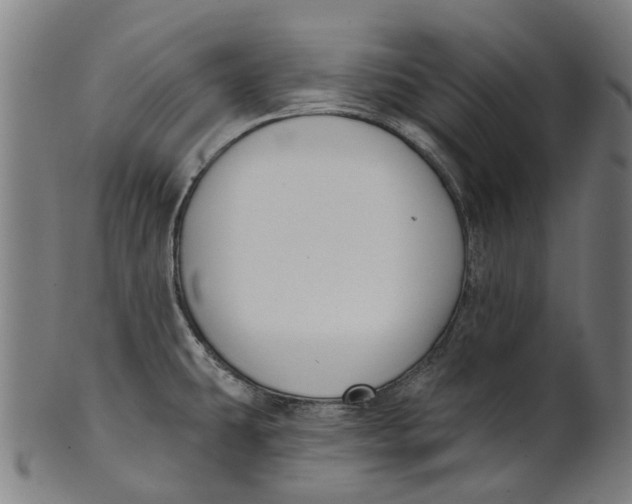 X0000100871431200807111307