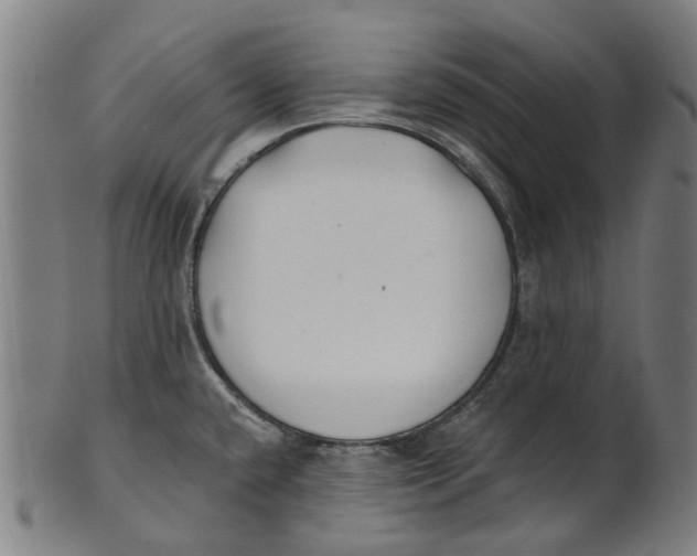 X0000100871432200807111307