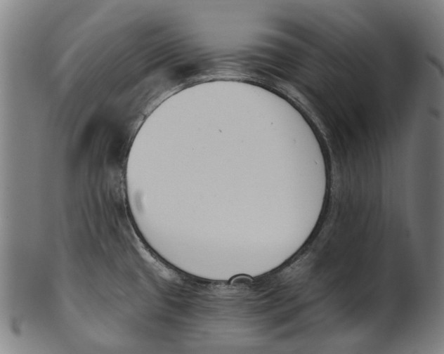 X0000100871433200807111307