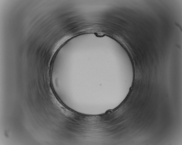 X0000100871434200807111307