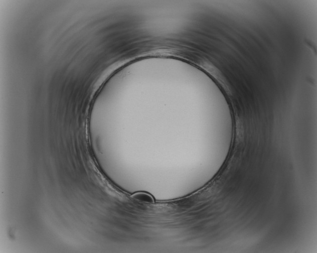 X0000100871436200807111307