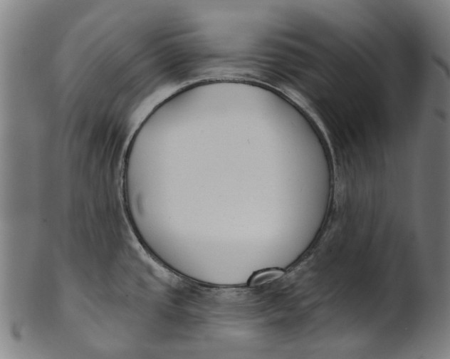 X0000100871437200807111307