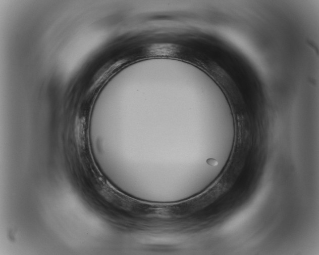 X0000100871438200807111307