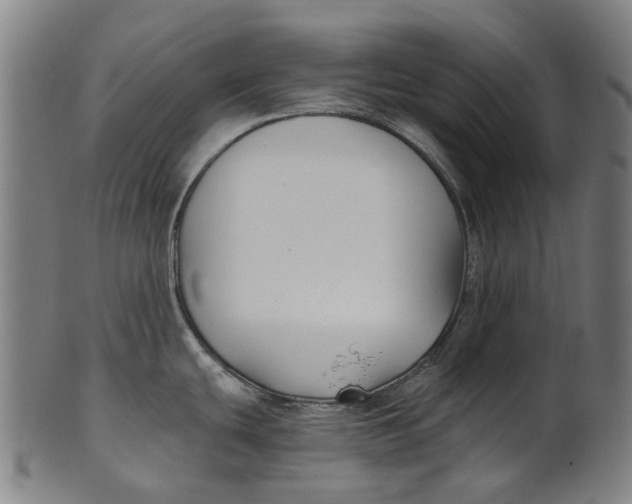 X0000100871439200807111307