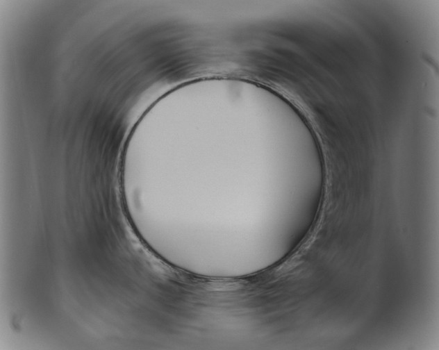 X0000100871440200807111307