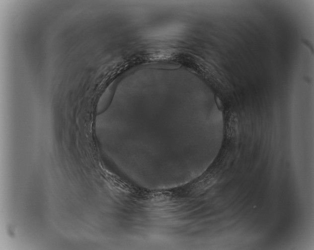 X0000100871441200807111306