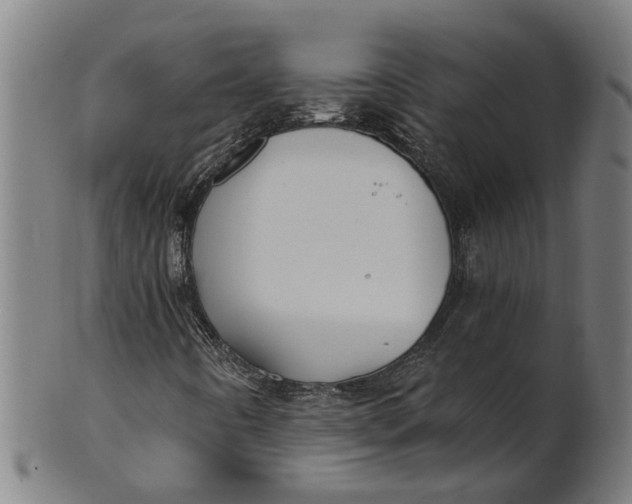 X0000100871442200807111306