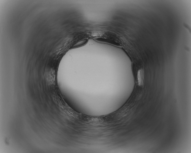 X0000100871443200807111306