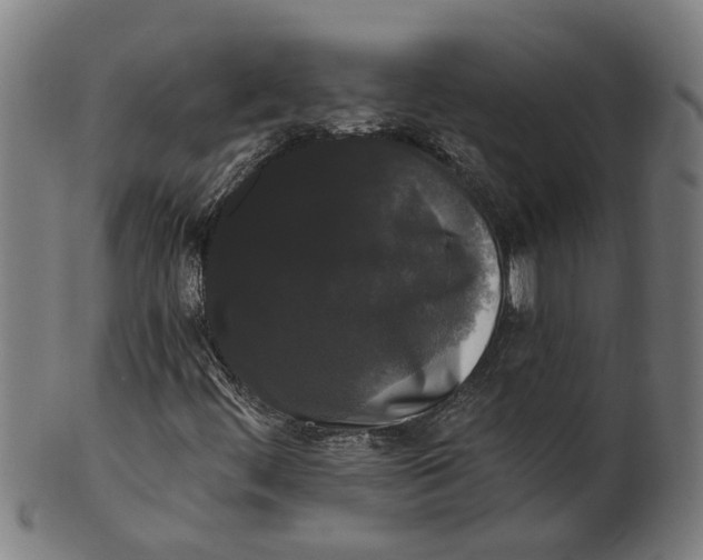 X0000100871444200807111306