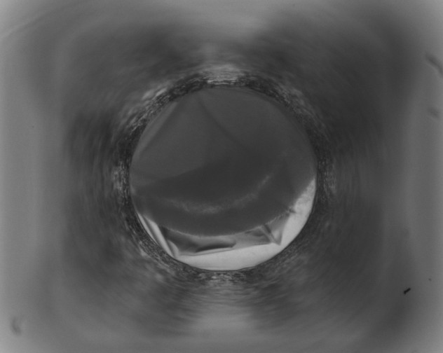 X0000100871445200807111306