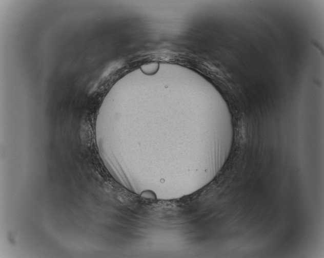 X0000100871446200807111306