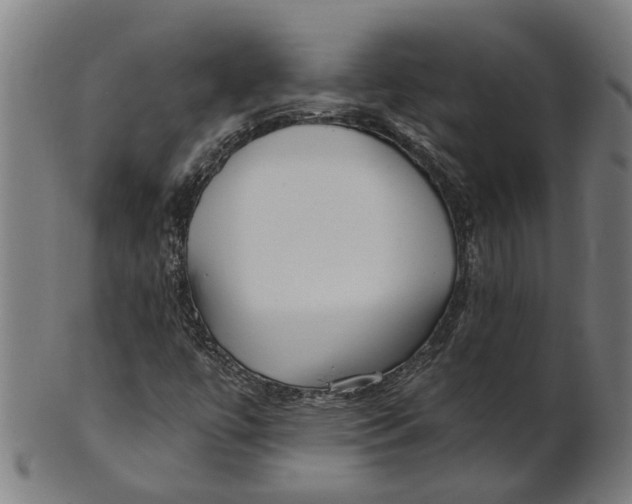 X0000100871447200807111306