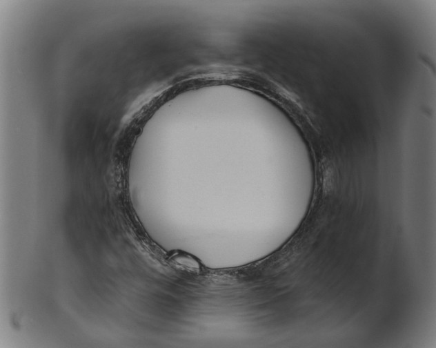 X0000100871448200807111306