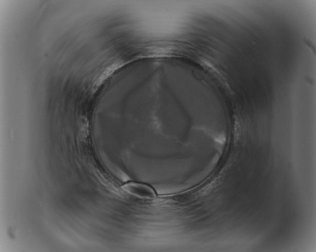 X0000100871449200807111306