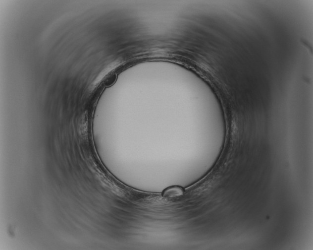 X0000100871450200807111306