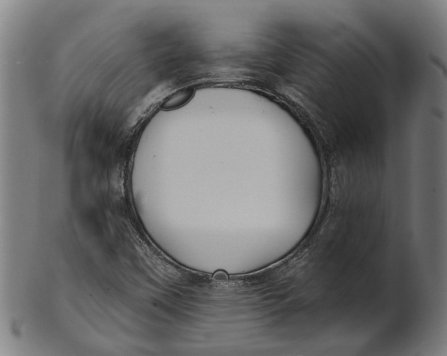 X0000100871451200807111306