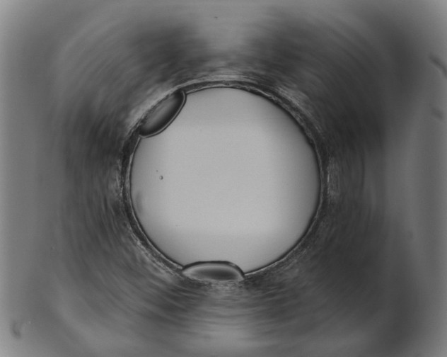 X0000100871452200807111306