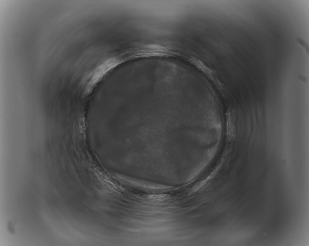 X0000100871453200807111306