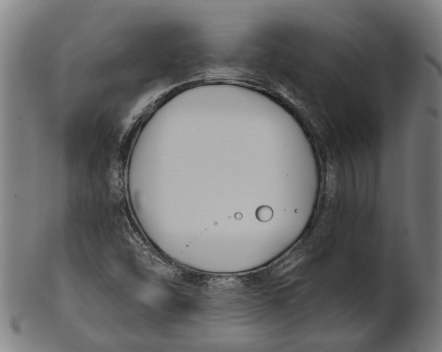 X0000100871454200807111306