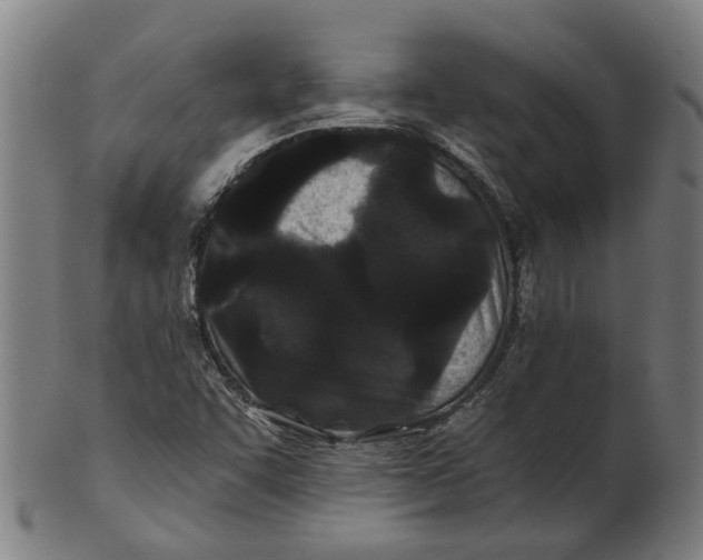 X0000100871455200807111306