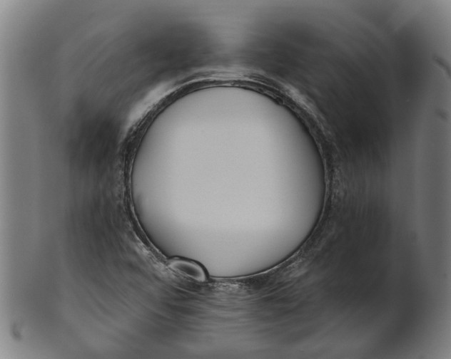 X0000100871456200807111306