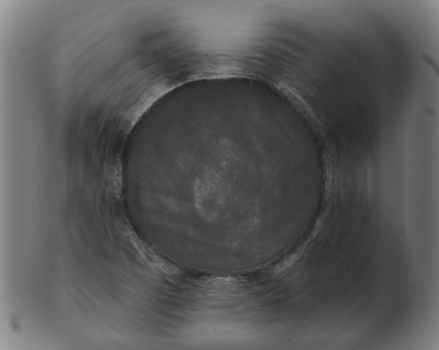 X0000100871457200807111306