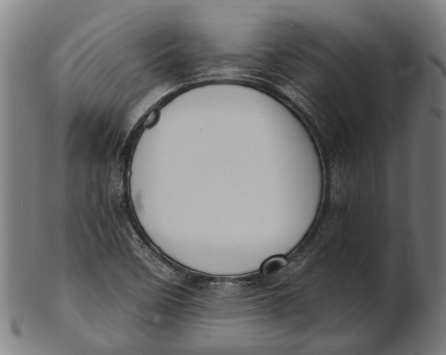 X0000100871458200807111306