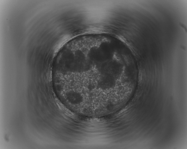 X0000100871459200807111306