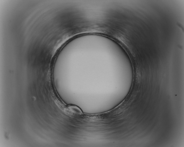 X0000100871460200807111306