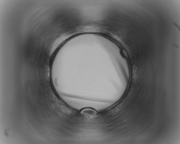 X0000100871461200807111306