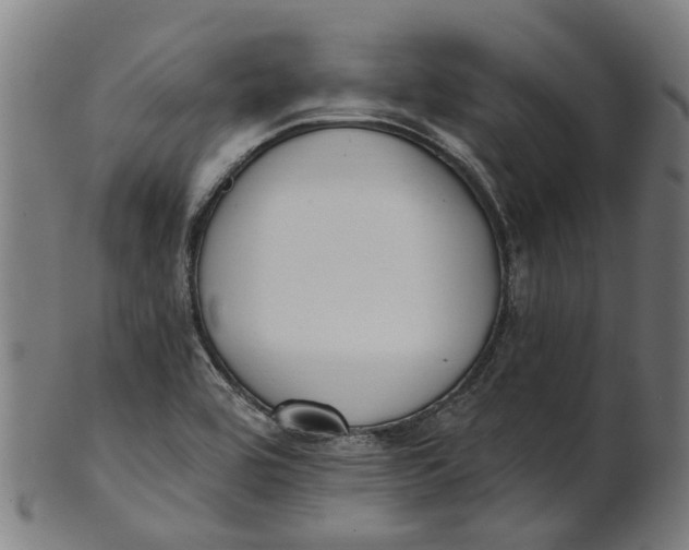 X0000100871464200807111306