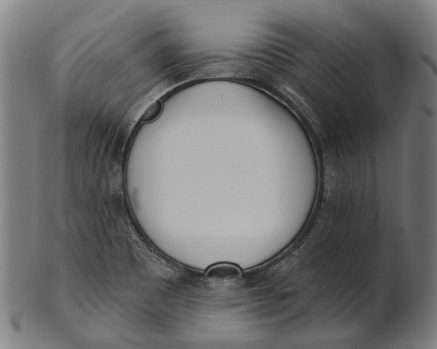 X0000100871465200807111306