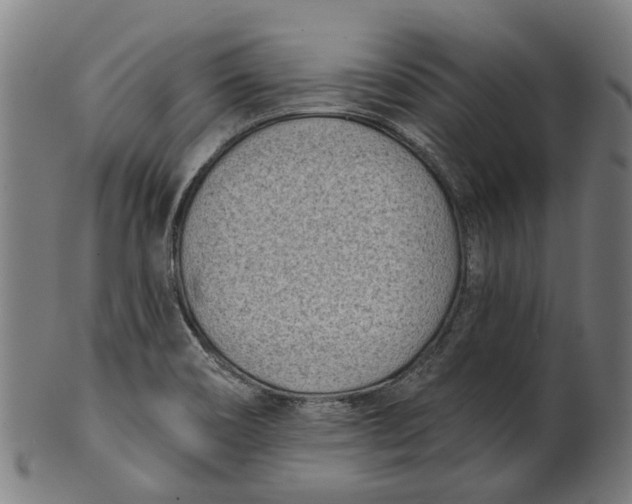 X0000100871466200807111306