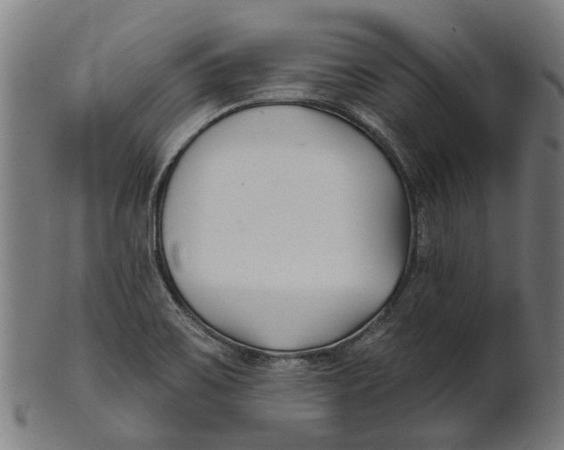 X0000100871467200807111306